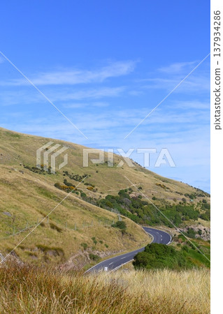 Scenic landscape of Dunedin, NZ 137934286