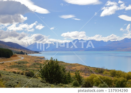 紐西蘭普卡基湖的優美景色 紐西蘭普卡基湖的優美景色 137934290