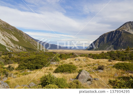 紐西蘭的風景 紐西蘭的風景 137934295