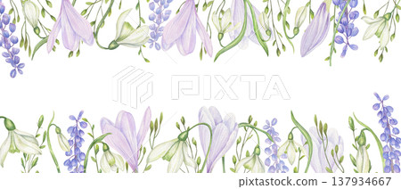 Watercolor spring flowers horizontal border on isolated background. White snowdrops, crocuses, grape hyacinth and spikelet frame. Floral composition for greeting card, wedding invitation, packaging Watercolor spring flowers horizontal border on isolated background. White snowdrops, crocuses, grape hyacinth and spikelet frame. Floral composition for greeting card, wedding invitation, packaging 137934667