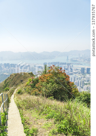 View from Fei Goose Hill, Hong Kong View from Fei Goose Hill, Hong Kong 137935767