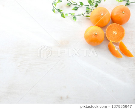 The background of fresh Setoka citrus fruit The background of fresh Setoka citrus fruit 137935947