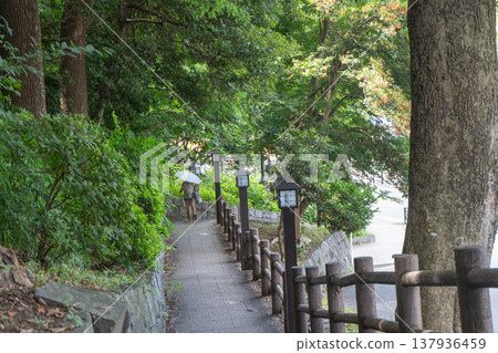 A path connecting Ueno Park and Shinobazu Pond A path connecting Ueno Park and Shinobazu Pond 137936459
