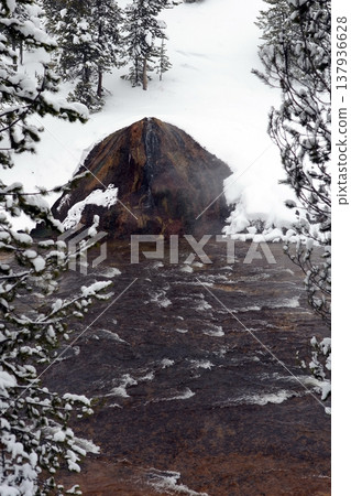 Yellowstone National Winter Snow Yellowstone National Winter Snow 137936628