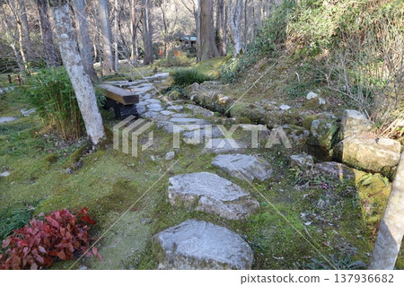 京都大原三千院的參道景色。 京都大原三千院的參道景色。 137936682