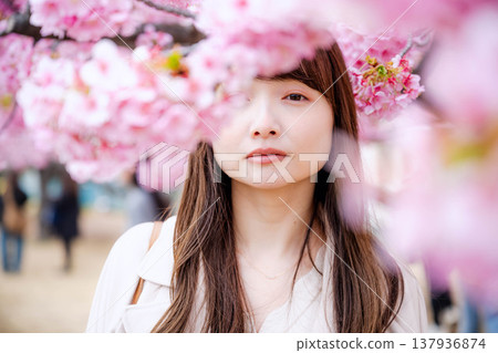 櫻花河津和一名年輕女子 櫻花河津和一名年輕女子 137936874