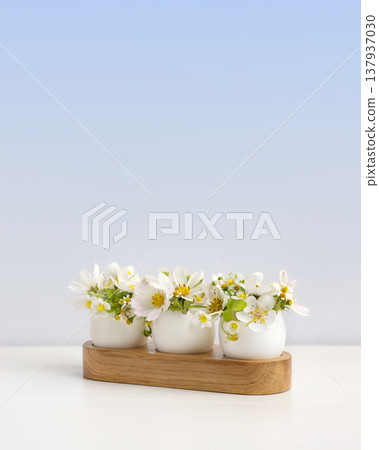 White Easter eggs in wooden stands with spring pear and strawberry flowers on a gray table. Happy Easter 137937030