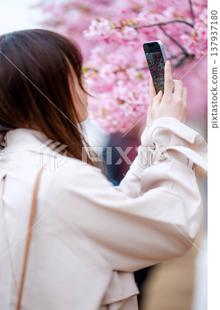 一位女士正在和櫻花合影 137937180