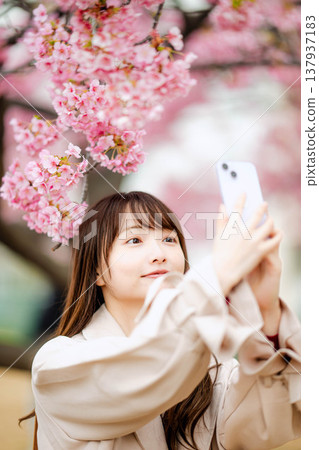 一位女士正在和櫻花合影 一位女士正在和櫻花合影 137937183