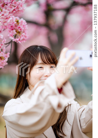 一位女士正在和櫻花合影 一位女士正在和櫻花合影 137937188