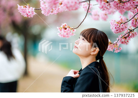 背景中有櫻花的年輕女子 背景中有櫻花的年輕女子 137937225