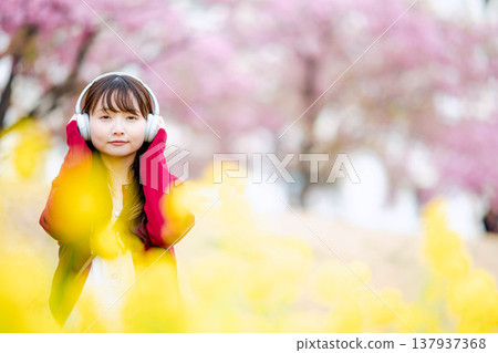 A young woman listening to music with headphones amidst cherry blossoms. 137937368
