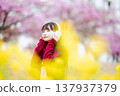 一位年輕女子在櫻花樹下戴著耳機聽音樂。 137937379