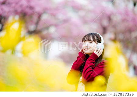 A young woman listening to music with headphones amidst cherry blossoms. A young woman listening to music with headphones amidst cherry blossoms. 137937389