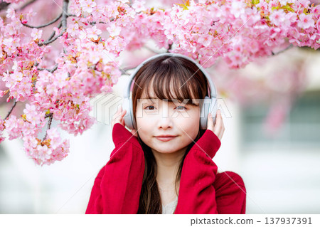 A young woman listening to music with headphones amidst cherry blossoms. A young woman listening to music with headphones amidst cherry blossoms. 137937391