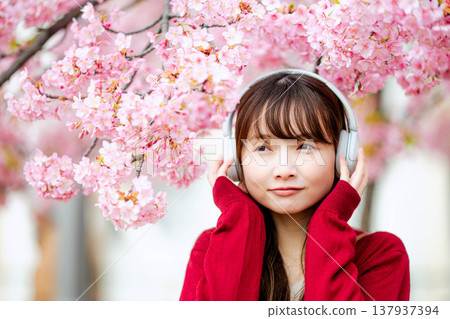 一位年輕女子在櫻花樹下戴著耳機聽音樂。 一位年輕女子在櫻花樹下戴著耳機聽音樂。 137937394