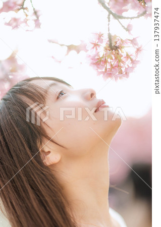 櫻花和一個年輕女子 櫻花和一個年輕女子 137937474