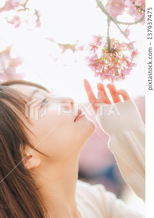 Cherry blossoms and a young woman Cherry blossoms and a young woman 137937475