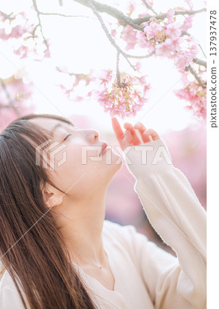 櫻花和一個年輕女子 櫻花和一個年輕女子 137937478
