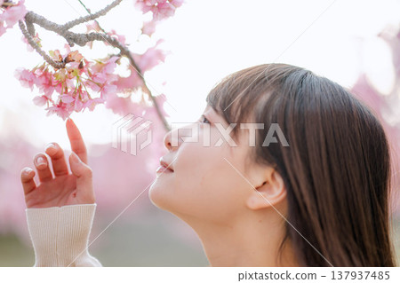 櫻花和一個年輕女子 櫻花和一個年輕女子 137937485