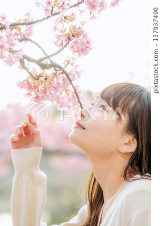 Cherry blossoms and a young woman Cherry blossoms and a young woman 137937490