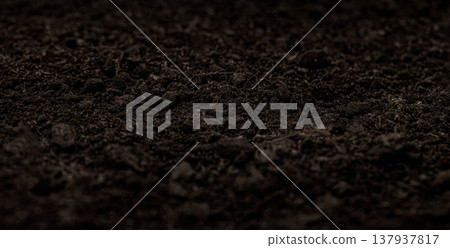 Dark brown soil texture for gardening and growth backgrounds Dark brown soil texture for gardening and growth backgrounds 137937817