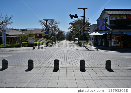 Kai Province, Takeda Shrine, Tsutsujigasaki Mansion 137938018