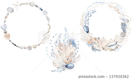 Watercolor clipart with pastel seashells and plants, illustration for coastal wedding stationery 137938362