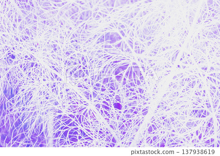 Abstract botanical macro shot in deep purple and blue tones. Intricate leaf veins and organic plant fibers create a flowing, ethereal pattern with soft gradients Abstract botanical macro shot in deep purple and blue tones. Intricate leaf veins and organic plant fibers create a flowing, ethereal pattern with soft gradients 137938619