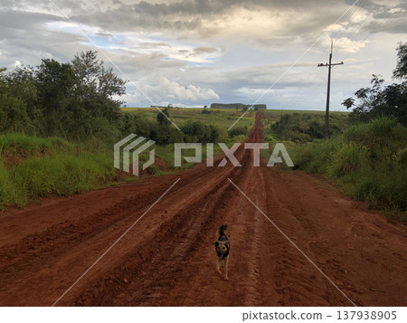 Paraguay Country Road 137938905