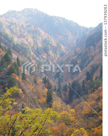 梶川防洪大壩，秋葉 [新潟縣柴田市] 137939263