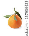 Mandarin Hallabon 137939423