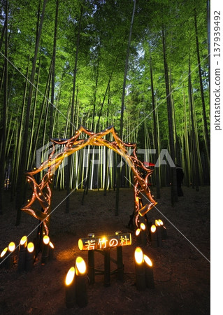 宇都宮「若竹之森和歌山農場」點燈 宇都宮「若竹之森和歌山農場」點燈 137939492
