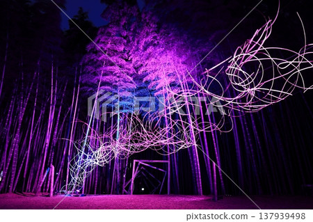 宇都宮「若竹之森和歌山農場」點燈 137939498