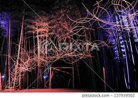 Utsunomiya "Wakatake no Mori Wakayama Farm" Light-up Utsunomiya "Wakatake no Mori Wakayama Farm" Light-up 137939502