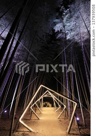 Utsunomiya "Wakatake no Mori Wakayama Farm" Light-up 137939508