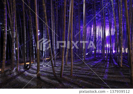 Utsunomiya "Wakatake no Mori Wakayama Farm" Light-up Utsunomiya "Wakatake no Mori Wakayama Farm" Light-up 137939512