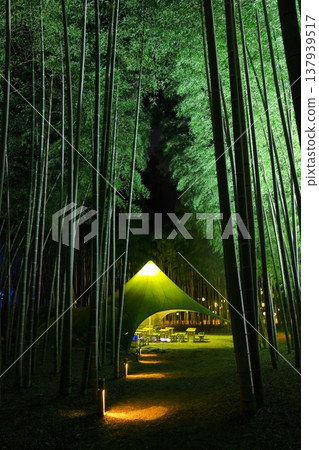 Utsunomiya "Wakatake no Mori Wakayama Farm" Light-up Utsunomiya "Wakatake no Mori Wakayama Farm" Light-up 137939517