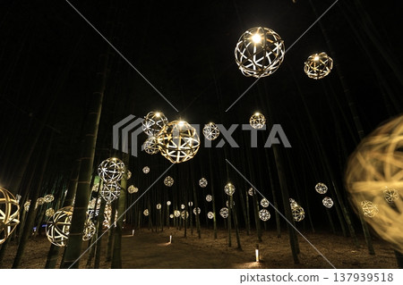 宇都宮「若竹之森和歌山農場」點燈 137939518