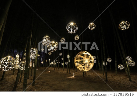 Utsunomiya "Wakatake no Mori Wakayama Farm" Light-up Utsunomiya "Wakatake no Mori Wakayama Farm" Light-up 137939519