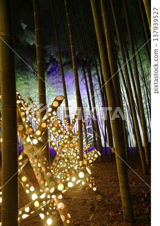 宇都宮「若竹之森和歌山農場」點燈 137939527