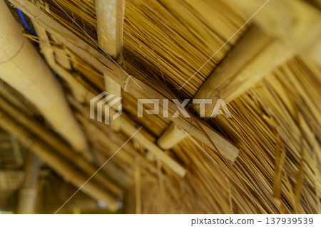 Vietnamese way of life. Vietnamese way of life. 137939539