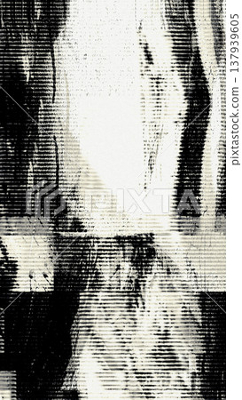 Black and white glitch texture with scanline artifacts Black and white glitch texture with scanline artifacts 137939605