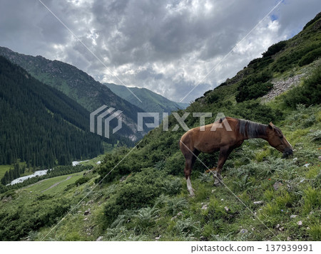 Altyn Arashan, Kyrgyzstan 137939991