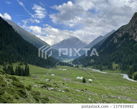 吉爾吉斯阿爾金阿拉山 137939992