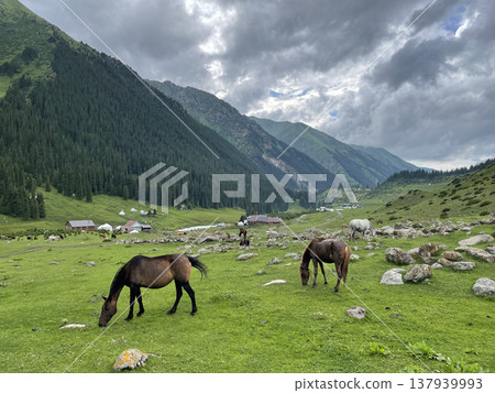 吉爾吉斯阿爾金阿拉山 137939993