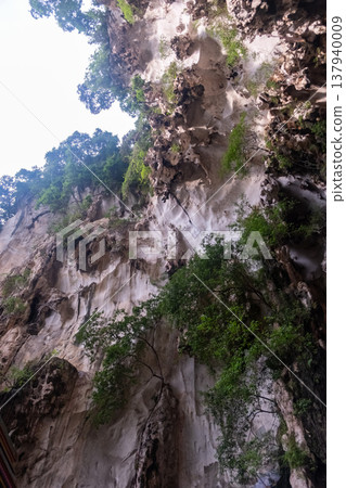 Upward view from inside Batu Caves near Kuala Lumpur, Malaysia. Showing a natural opening in the limestone cave with sunlight and greenery. 137940009