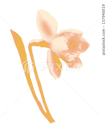 Halftone daffodil flower collage element. Paper floral clipping, vintage risograph dot texture. Modern retro vector illustration for spring mixed media design isolated on transparent background Halftone daffodil flower collage element. Paper floral clipping, vintage risograph dot texture. Modern retro vector illustration for spring mixed media design isolated on transparent background 137940019