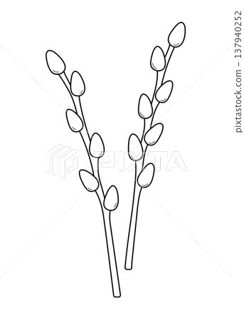 Two branches of willow. Spring easter elements in doodle line style. Palm Sunday. Isolated vector illustration. Two branches of willow. Spring easter elements in doodle line style. Palm Sunday. Isolated vector illustration. 137940252