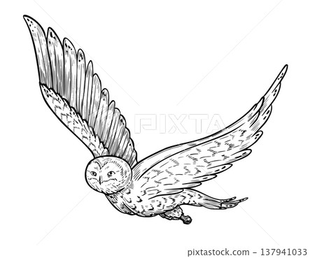 Arctic Owl in flight with spread wings vector illustration. Hand drawn engrave of tundra or forest Bird painted by black inks on isolated background for north fauna art. Drawing of nocturnal predator. 137941033